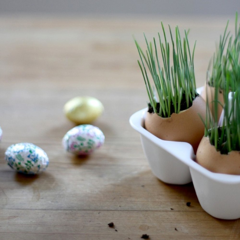 Fun Ways to Introduce the Easter Season