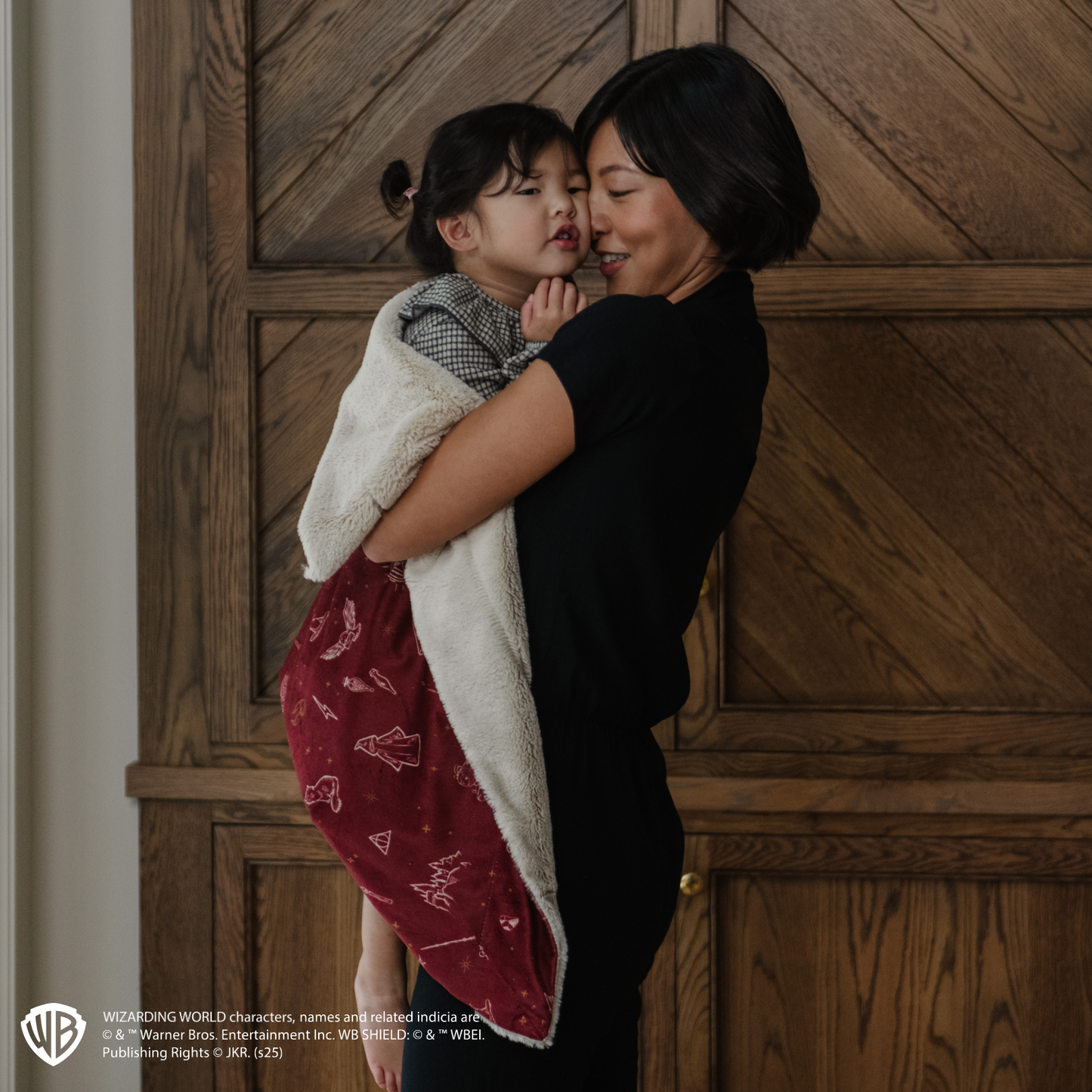 Harry Potter™ Icons Minky/Lush