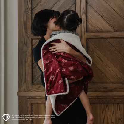 Harry Potter™ Icons Minky/Lush