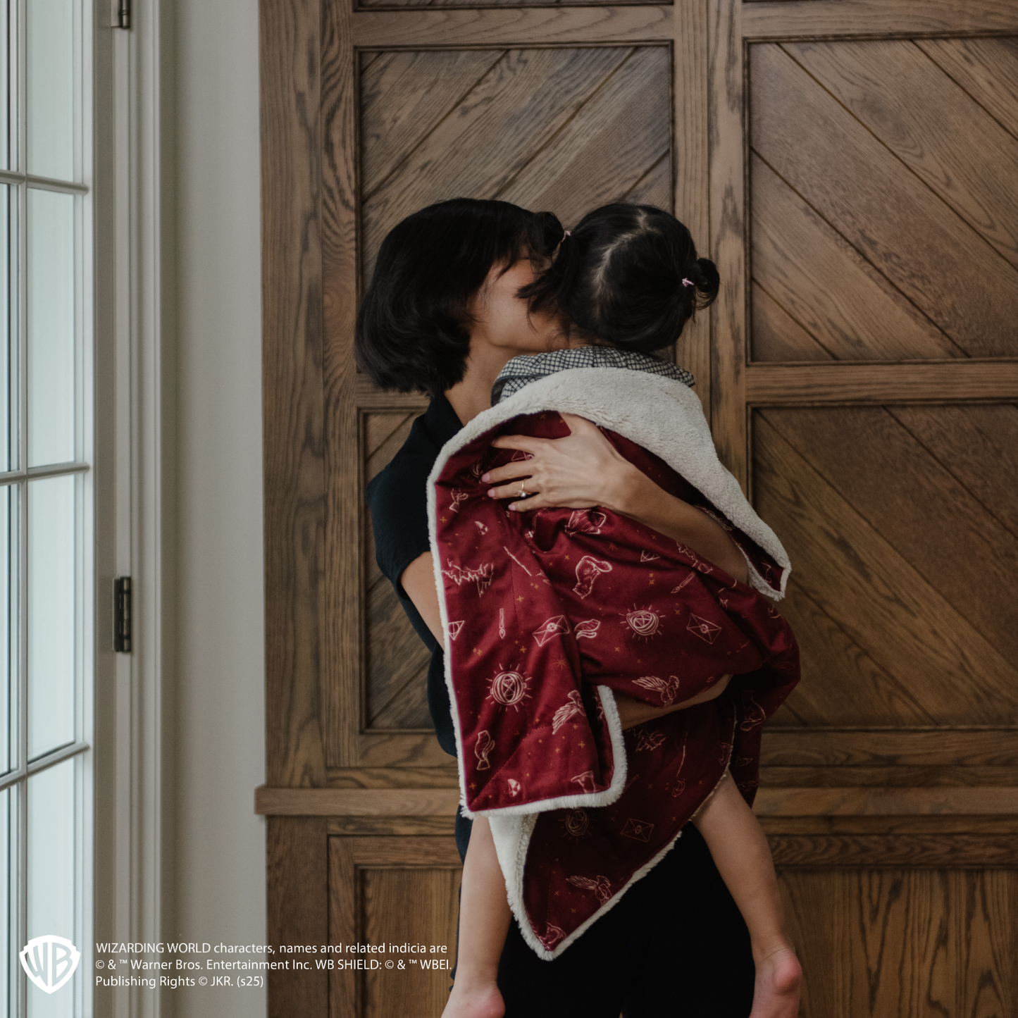 Harry Potter™ Icons Minky/Lush