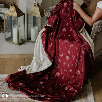 Harry Potter™ Icons Minky/Lush