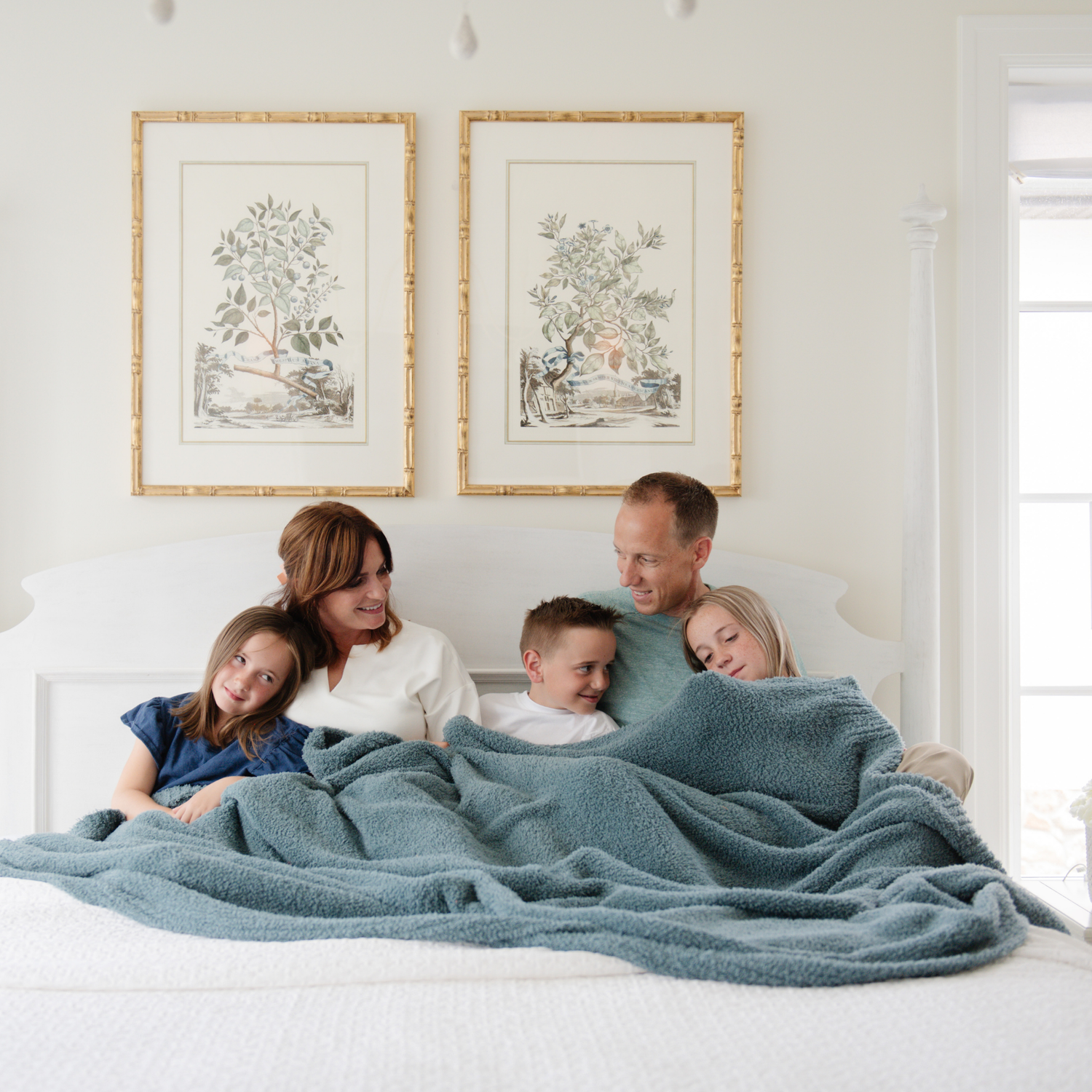 Spruce Bamboni XL Blanket