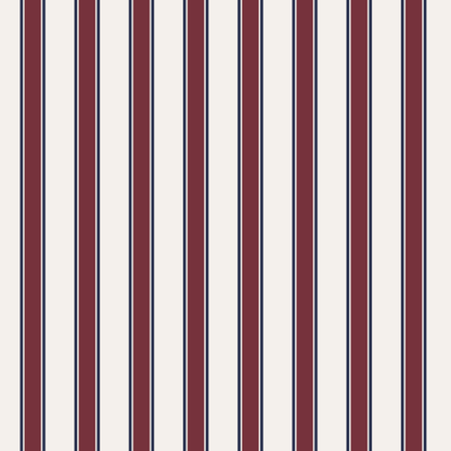 America 250 Blankets