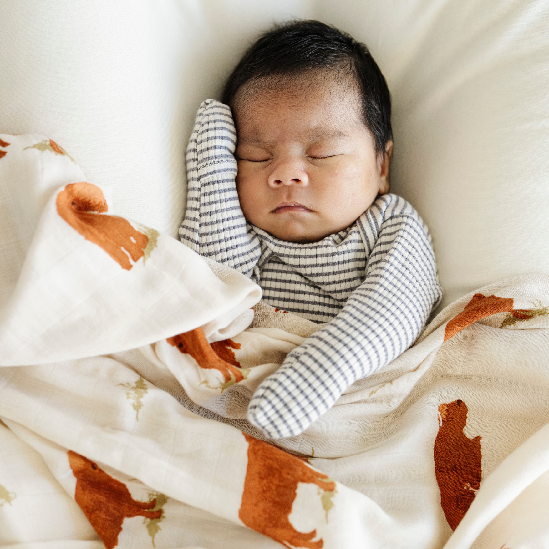 Baby boy with Highland Cow Bamboo Rayon Muslin Saranoni swaddle. 
