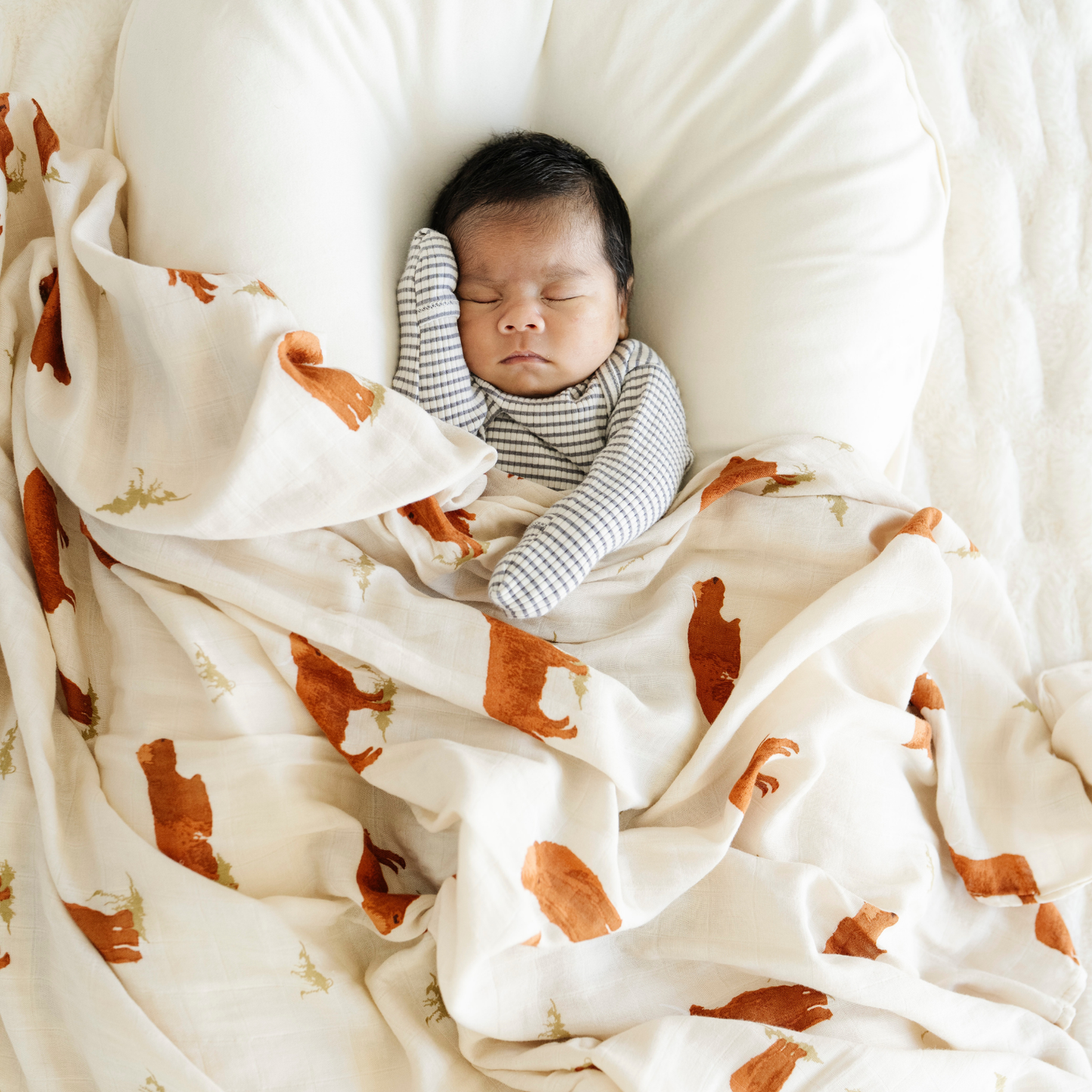 Baby boy snuggled with Highland Cow Bamboo Rayon Muslin Swaddle. 