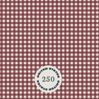America 250 Blankets