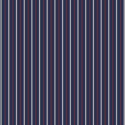 America 250 Blankets