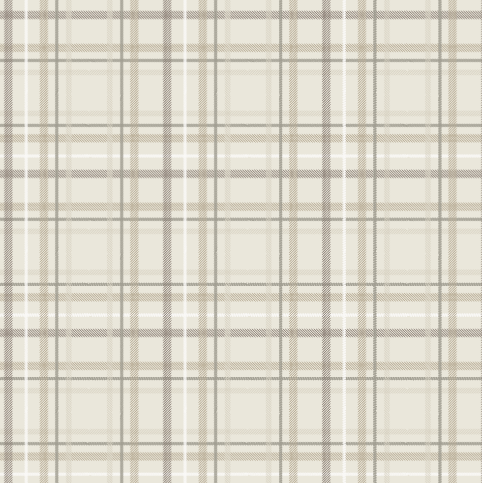Plaid Minky Stretch Print